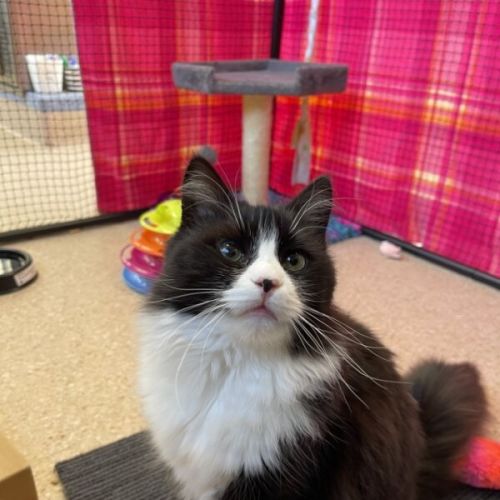 Syd Barrett nee Murray