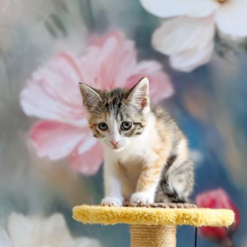 No photo for Eleanor