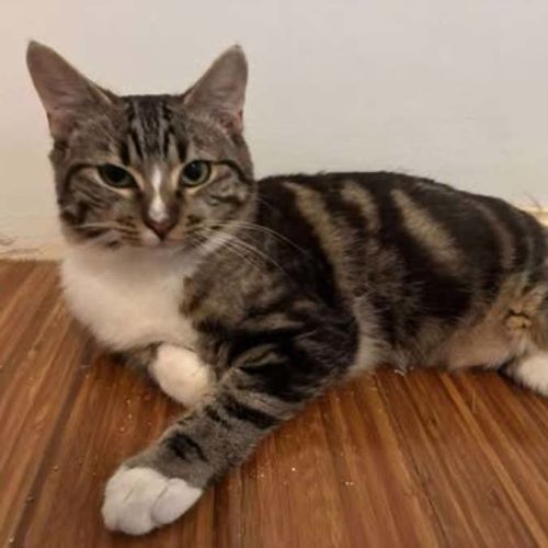 No photo for Charlie