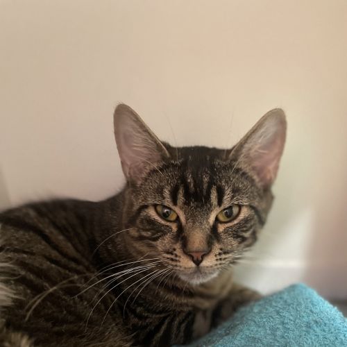 No photo for Colonel Mustard