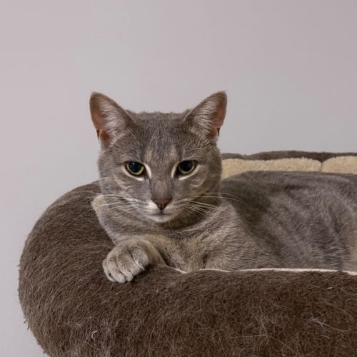 No photo for Maya 💖