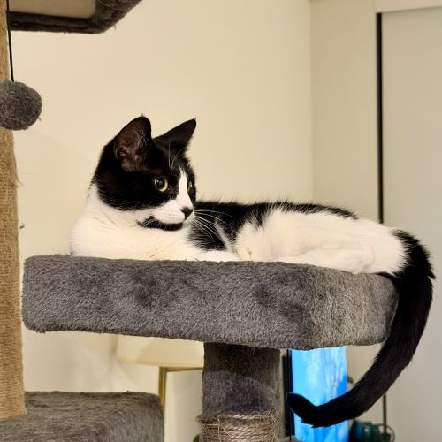 No photo for Marbles