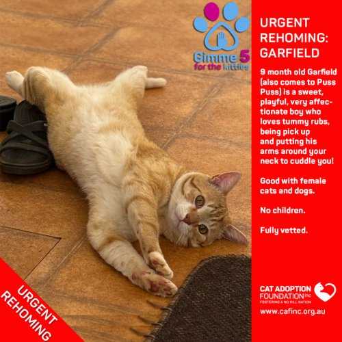 Garfield