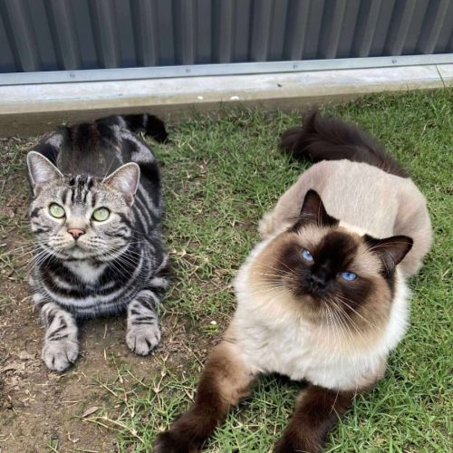 No photo for Mango & Taco 