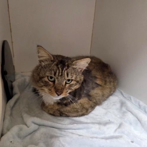 No photo for Bernard