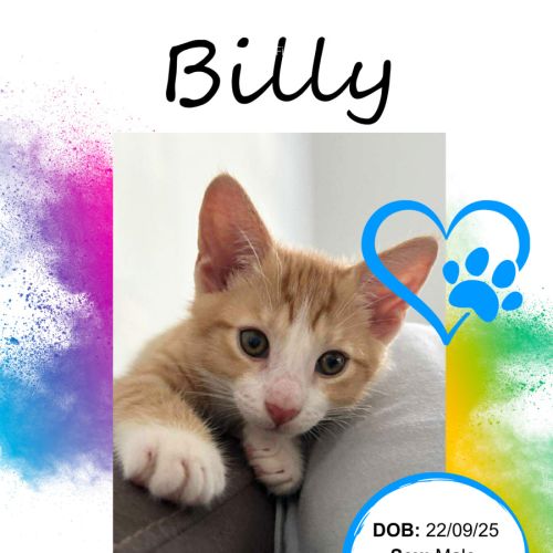 Billy