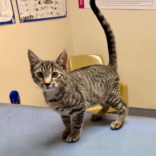 No photo for Bruce Wayne