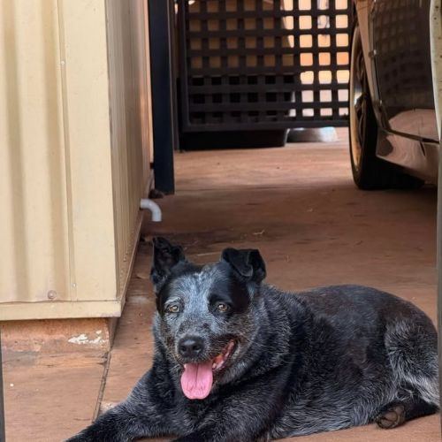 No photo for Chelsea