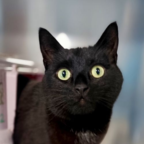 No photo for Zanzibar