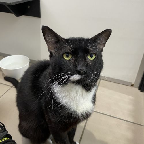 No photo for Einstein 