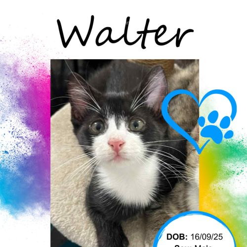 Walter