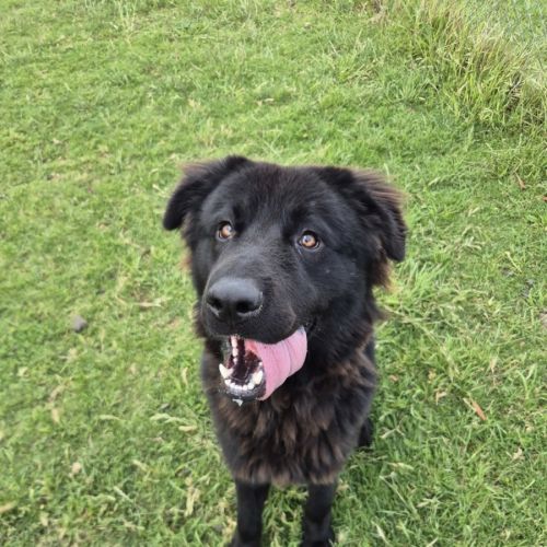 No photo for Ulf (67291)