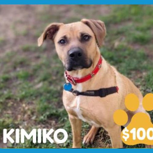Kimiko