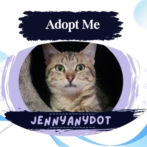 No photo for Jennyanydot