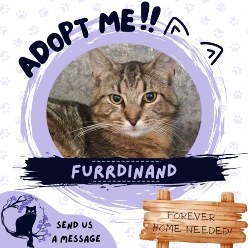 Furrdinand