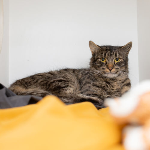 No photo for Brittney