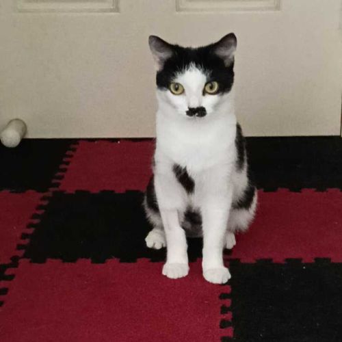 No photo for Charlee