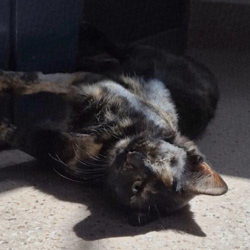 No photo for Gabrielle