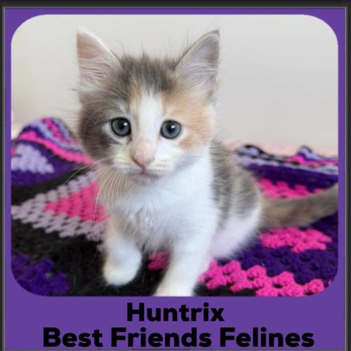 Huntrix 