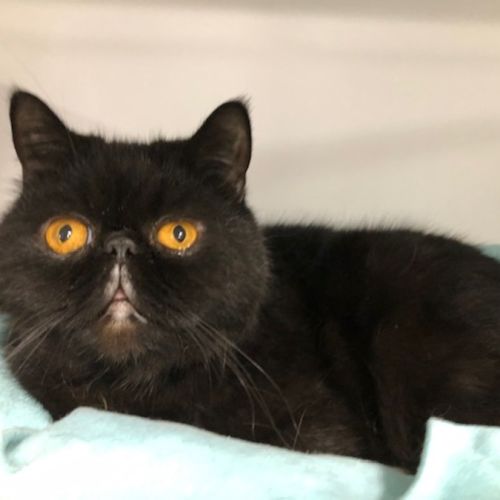 No photo for Ice Cream