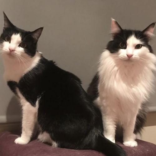 No photo for Billy & Jasper