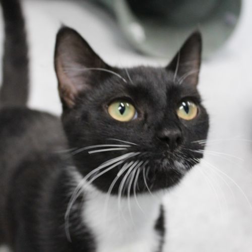 No photo for Louis (And Vuitton)