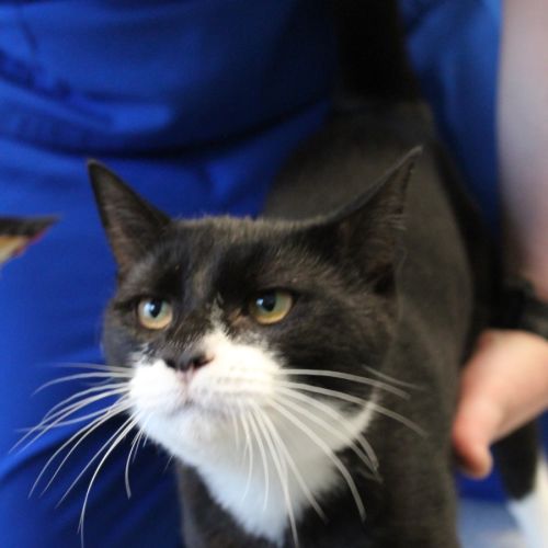 No photo for Vuitton (And Louis)