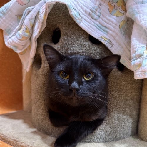 No photo for Barney Rubble