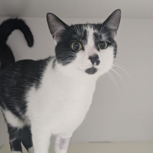 No photo for ⚓ Captain 6688 ⚓