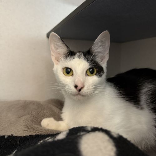 No photo for Mrs Beans