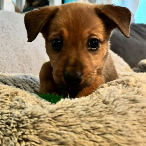 No photo for Winny (P21)