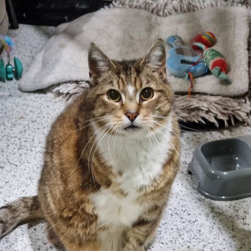 No photo for Grimsby