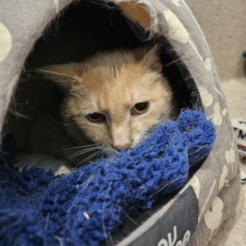 No photo for Alexander