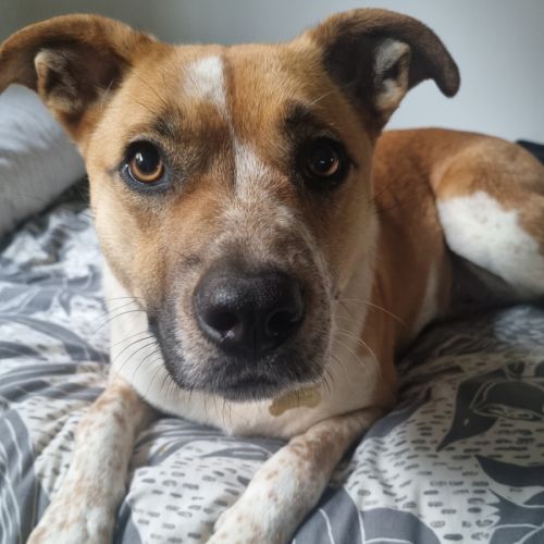 No photo for Sally Brown