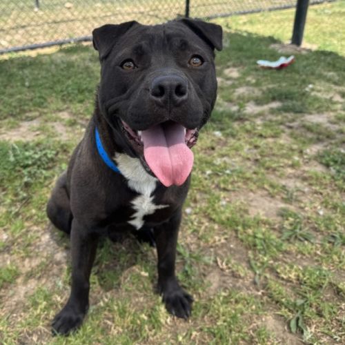 No photo for Fernando Imp 2792