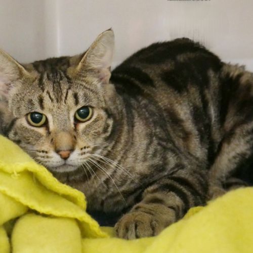 No photo for Andrew Sua014354