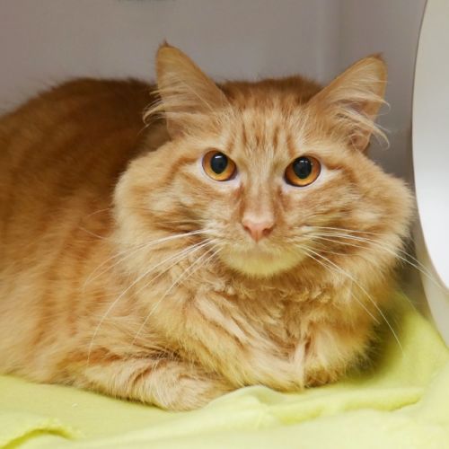 No photo for Manny Rsta013578