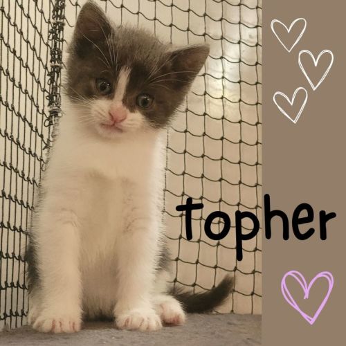 No photo for 💕 Topher 💕
