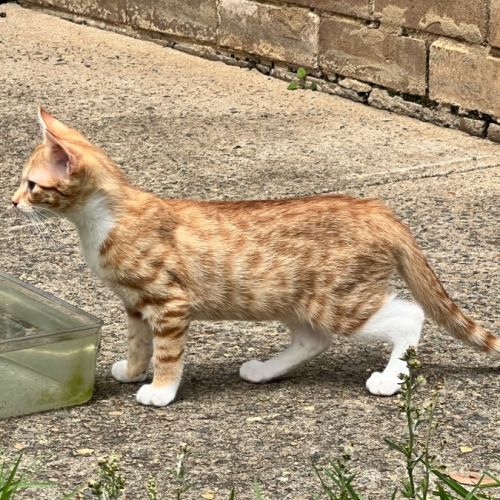 No photo for Harry And Beatrice