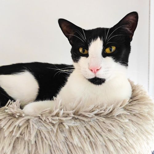 No photo for Valentine