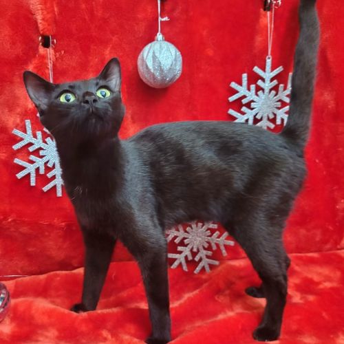 No photo for Lianetta 💛