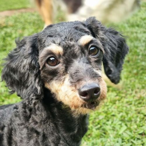 No photo for Harmony