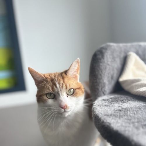 No photo for Mei Mei