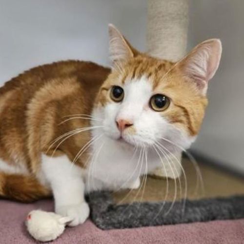 No photo for Dusty