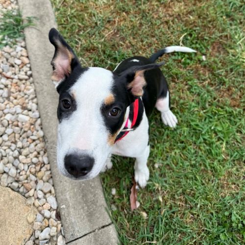 No photo for Esmae (P14)