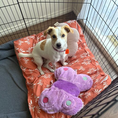 No photo for Bonnie Jrt