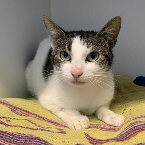 No photo for Matilda