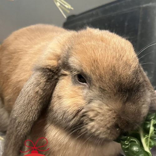 No photo for Handsome