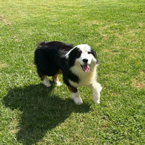 No photo for Freddie