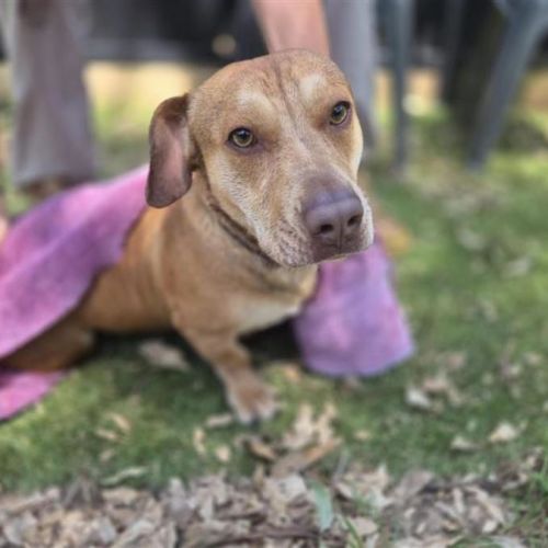 No photo for Sizzles